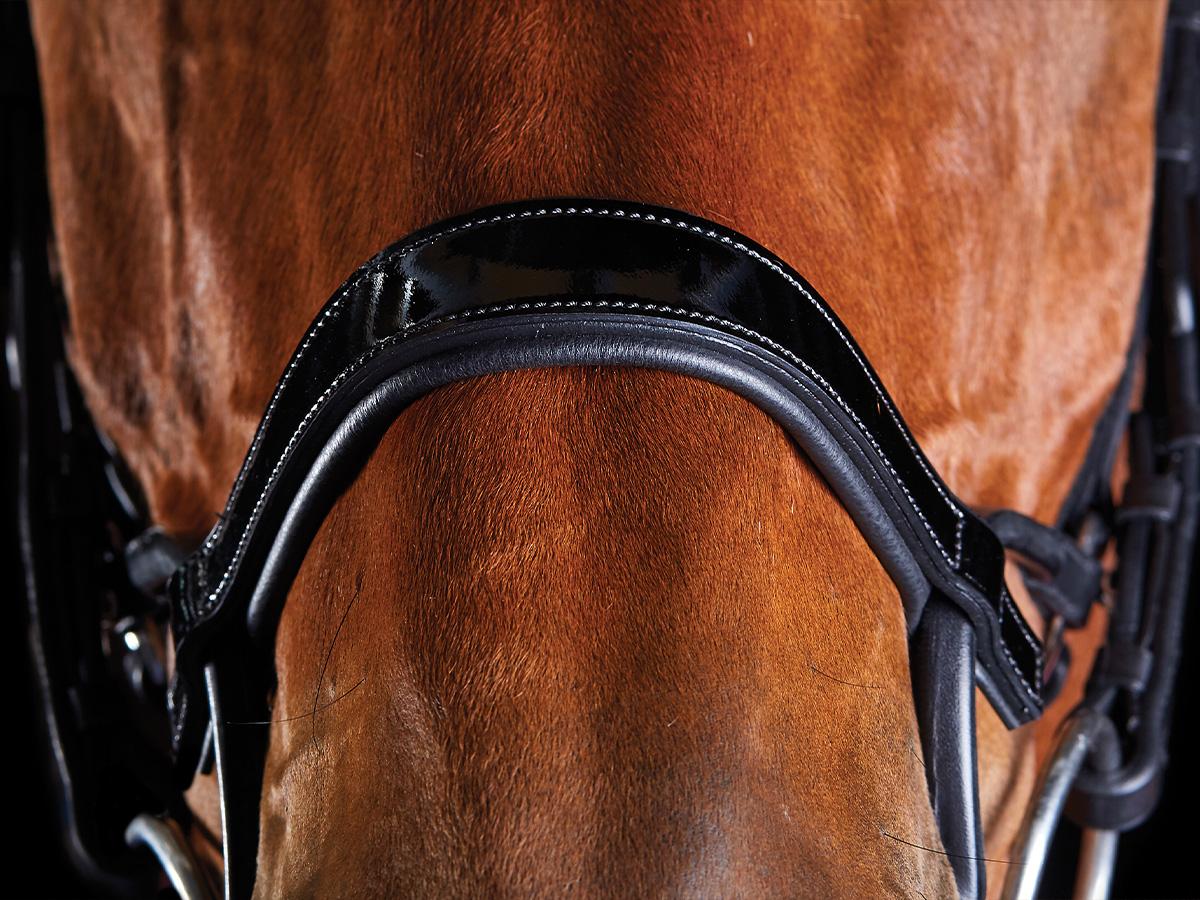 Collegiate ComFiTec Patent Bridle | Collegiate Saddles