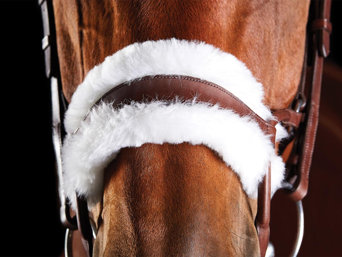 Collegiate ComFiTec Sheepskin Bridle | Collegiate Saddles